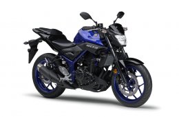 MT-25