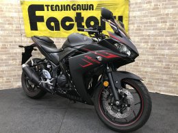 YZF-R25