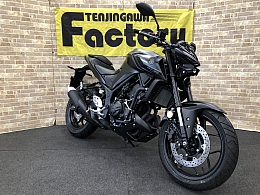 MT-25 ABS