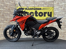 VXg[250SX-4