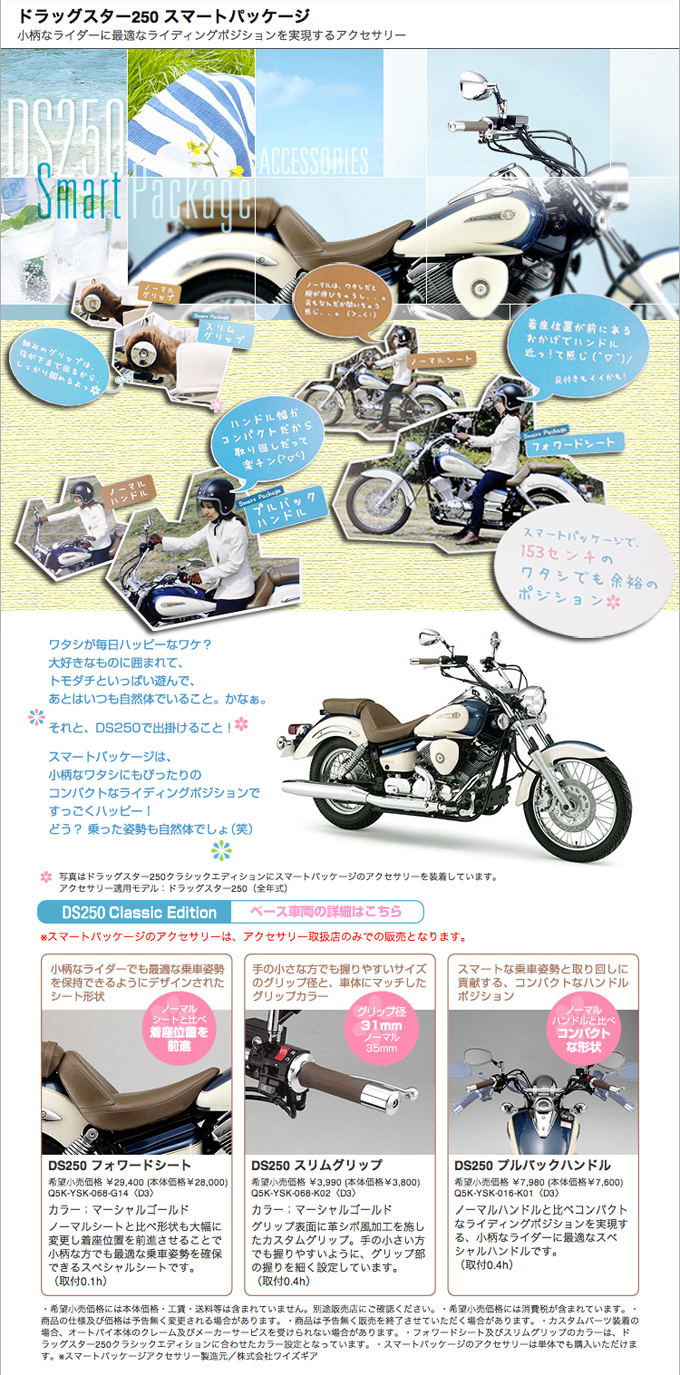 ドラッグスター250 スマートパッケージ