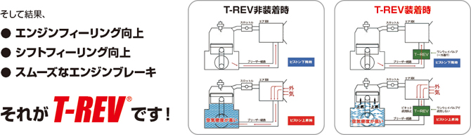 T-REVの効果